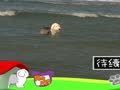 狗狗日记 第245天 爱上大海