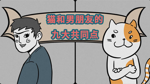 喵客帝国 养个男朋友 还是养只猫