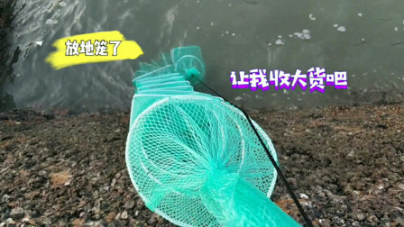 南澳岛赶海日记 赶海小哥再战地笼，由于经验不足收获不多，大家有没有什么建议