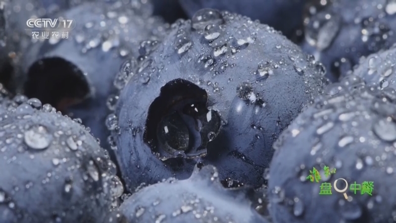 《谁知盘中餐》 20260317 春食纪 春来鲜意浓