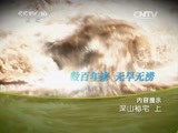 地理中国 《地理中国》 20150618 深山秘宅（上）