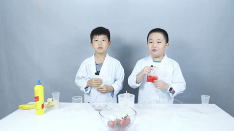 德拉少儿科学实验室 提取DNA