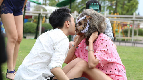 魅力野兽 第2期：猫头鹰惊艳揭面似BABY