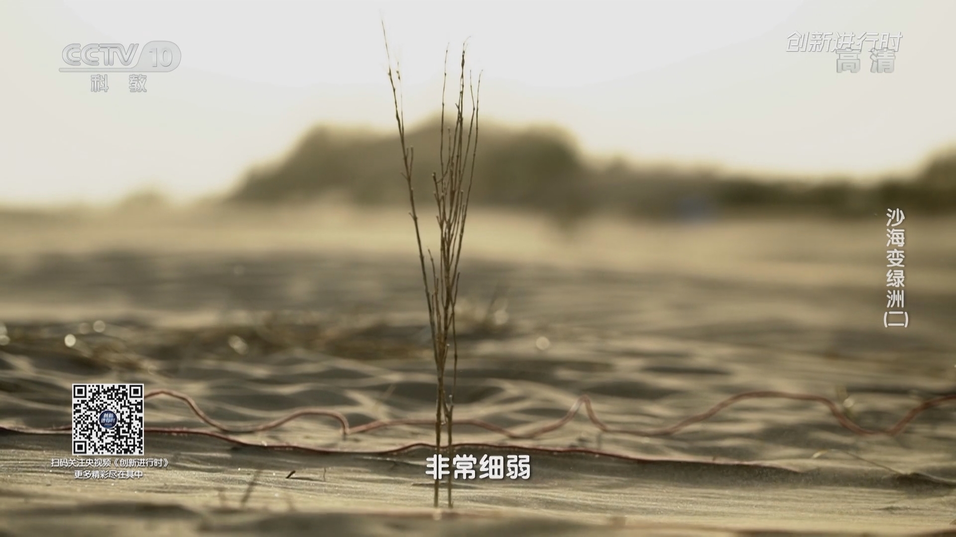 《创新进行时》 20211217 沙海变绿洲（二）