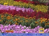 广西新闻 《广西新闻》 20171014
