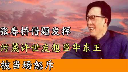趣谈文史 张春桥污蔑许世友想当华东王，遭到许帅当场怒斥