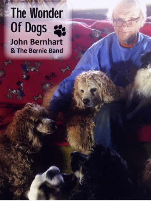 狗狗奇妙物语 海报