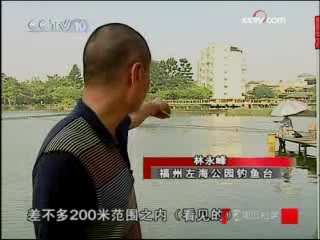 走近科学 水怪现身