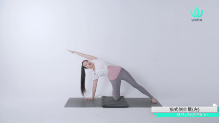 每天侧腰拉伸5分钟，甩掉腰部两侧脂肪，适合初学者！