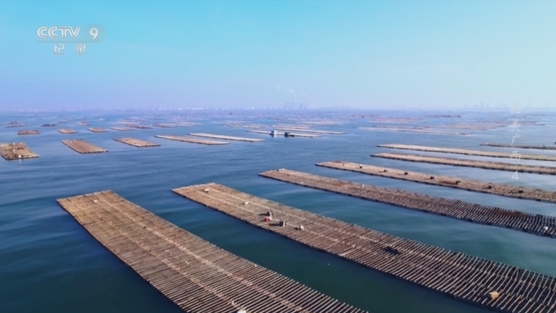 《甜美广西》 第4集 海湾恩赐