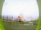 走近科学 《走近科学》 20170531 保护钱塘江大潮
