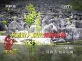 地理中国 《地理中国》 20160213 山河春色·黎平秘境