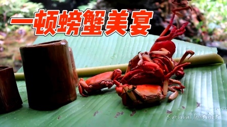热带雨林野外生存，溪流边很多螃蟹，来一顿螃蟹美宴！