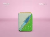 小小智慧树 《小小智慧树》 20170324