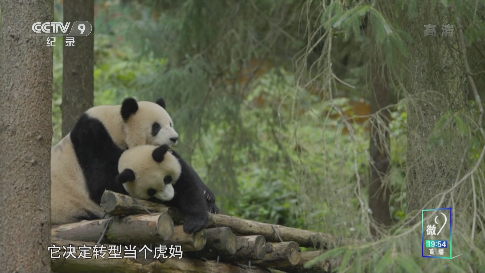看秋天第二季 《看秋天》第二季 教子有方