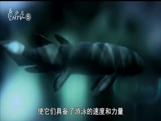 名师公开课 《生物进化树（六上“生物的多样性”）》授课教师：翁乐