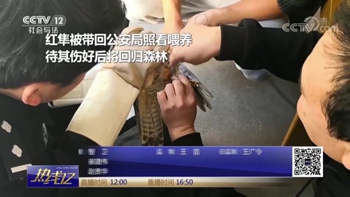 热线12 《热线12》 20181229