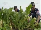 我爱发明 《我爱发明》 20180411 农忙进行时2