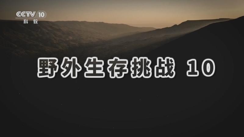 自然传奇 《自然传奇》 20260130 野外生存挑战 10