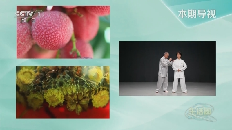 生活圈 《生活圈》 20230724
