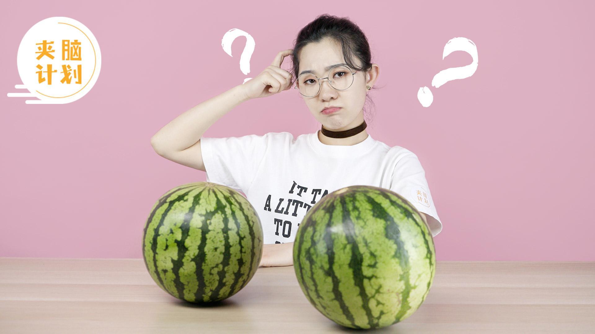 夹脑计划 零失误挑瓜秘籍【夹脑计划】