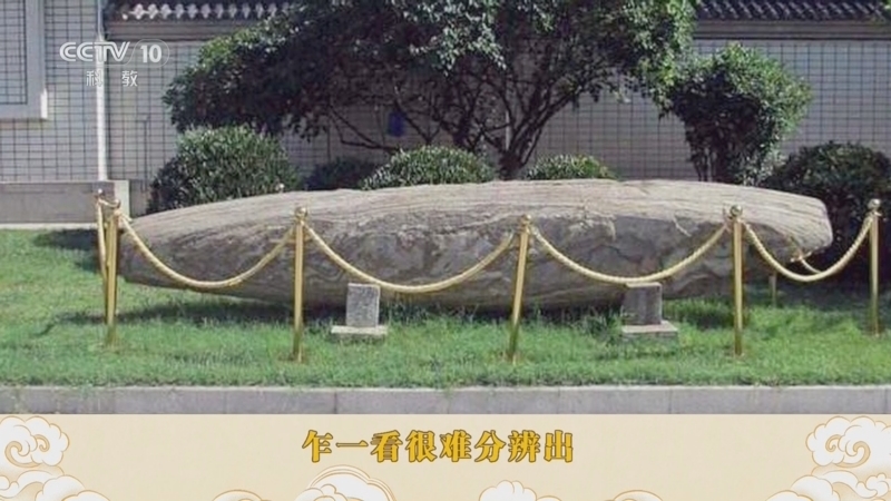 百家讲坛 《百家讲坛》 20241117 博物馆里的动物们 14 汉武帝的鲸鱼