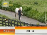 新闻夜总汇 《新闻大通道》 20170403