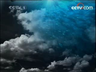 人与自然 人与自然2008-15
