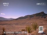 军事科技 《军事科技》 20170708 攻击机的奥秘——A-10战机