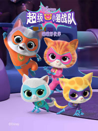 超级小猫战队 喵喵好伙伴
