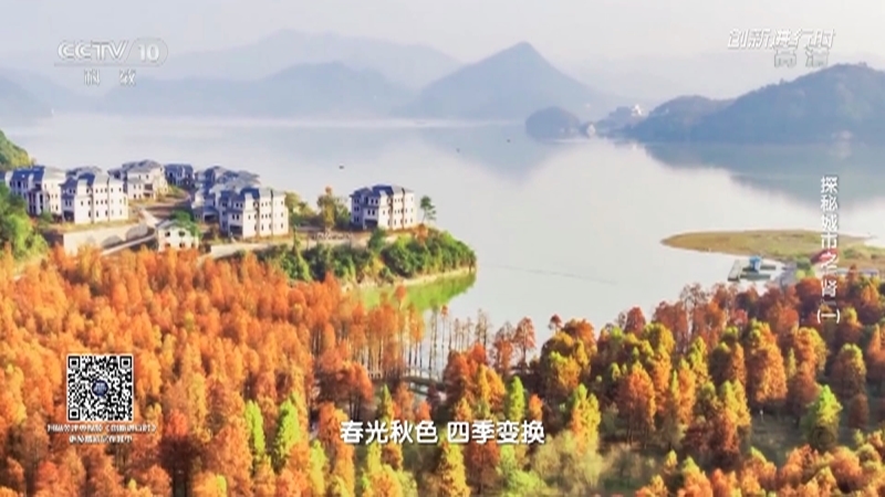 《创新进行时》 20210911 探秘城市之“肾”（一）