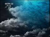 人与自然 [人与自然] 雷克特狮群（上）20110630