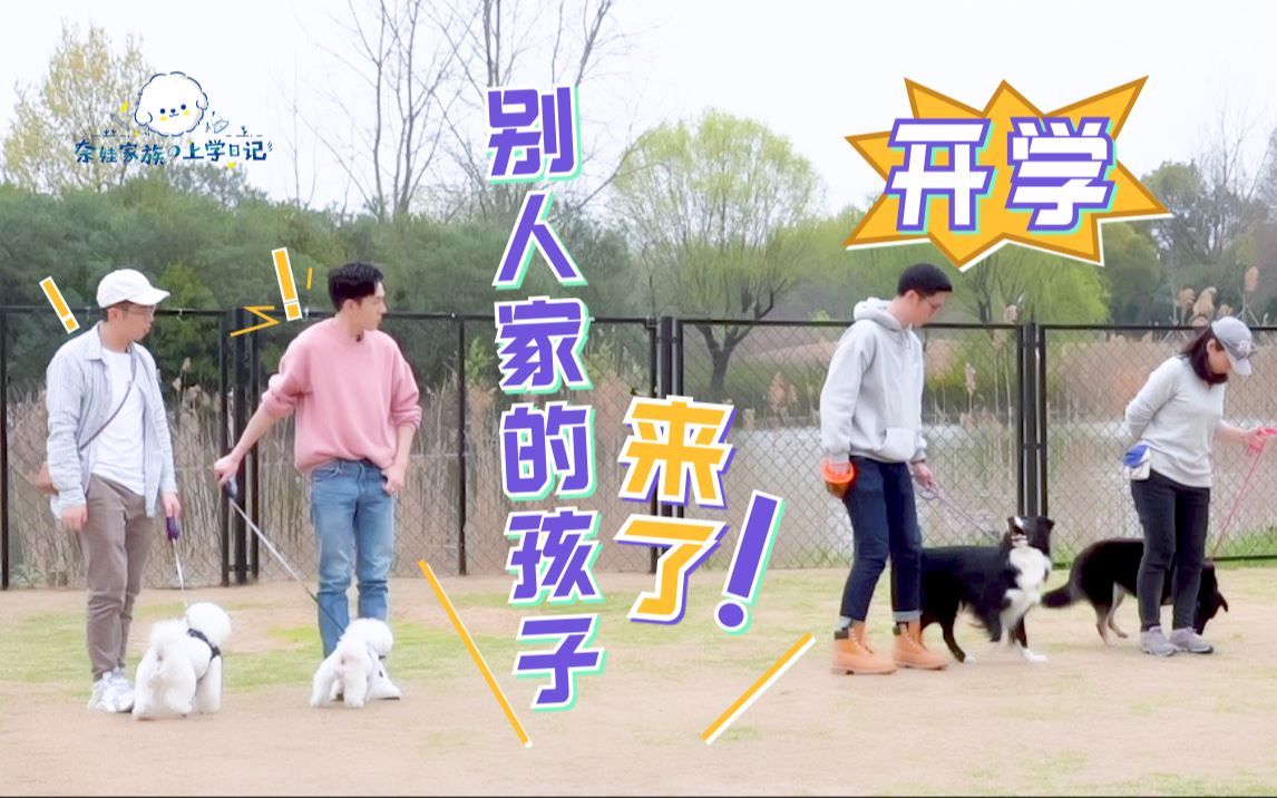 奈娃家族的上学日记 第一季 报告！治疗犬培训练习生——奈娃家族报道！