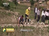 生财有道 《生财有道》 20180511 乡村振兴中国行：走进云南省红河县