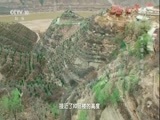 地理中国 《地理中国》 20171023 奇居乐土·黄土塬下的村落（上）