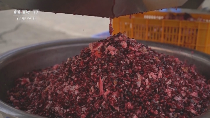 我爱发明 《我爱发明》 20230530 石榴削削乐