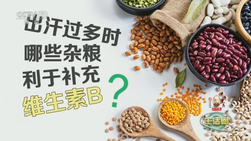 生活圈 《生活圈》 20240805