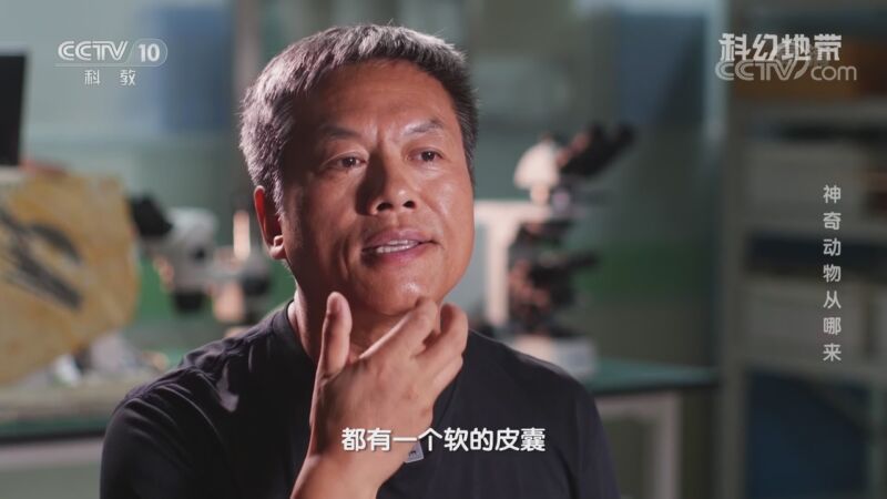 科幻地带 《科幻地带》 20200920 神奇动物从哪来