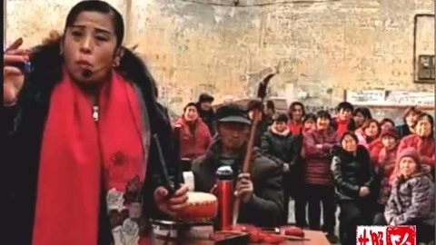河南坠子 河南坠子《王清明投亲》
