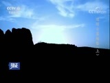 见证 《见证》 20180518 追踪古墓魅影（上）