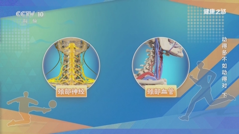 《健康之路》 20260122 动得多不如动得对(下)