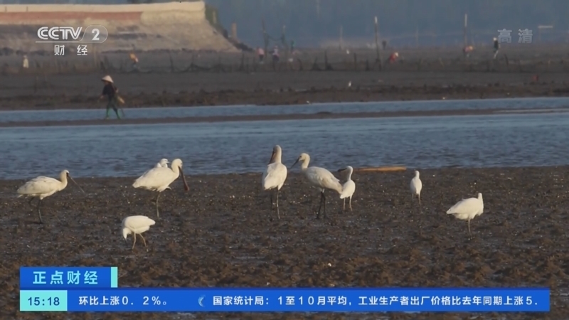 正点财经 《正点财经》 20221109 15:00