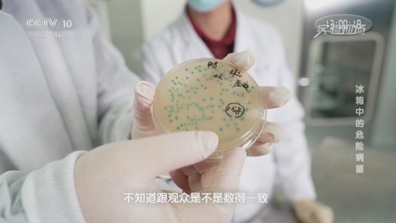 实验现场 《实验现场》 20240114 冰箱中的危险病菌