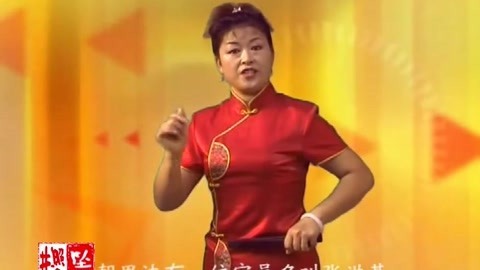 河南坠子 朱云阁 坠子书 王华后传