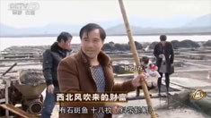 致富经 [致富经]西北风吹来的财富 20160415