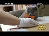 新闻袋袋裤 《新闻袋袋裤》 20150623
