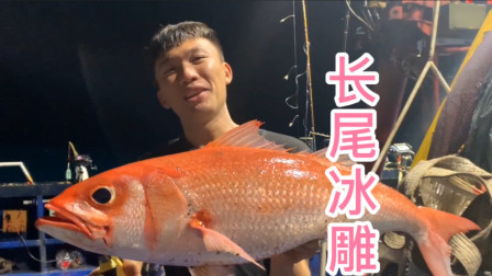 阿镭南沙岛海钓，第一条大红鱼，直呼太过瘾了