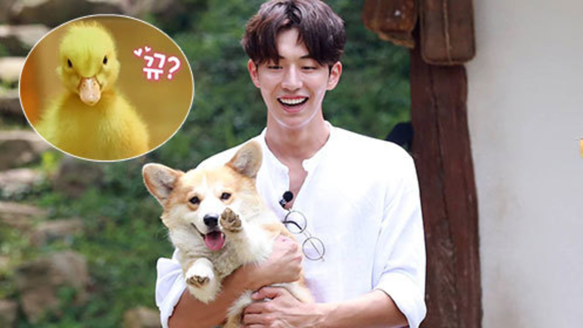 [第7期]短腿美男“冬天”成三餐家族新宠