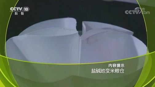 走近科学 《走近科学》 20190328 盐碱地变米粮仓