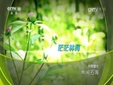 地理中国 《地理中国》 20161210 林间石海